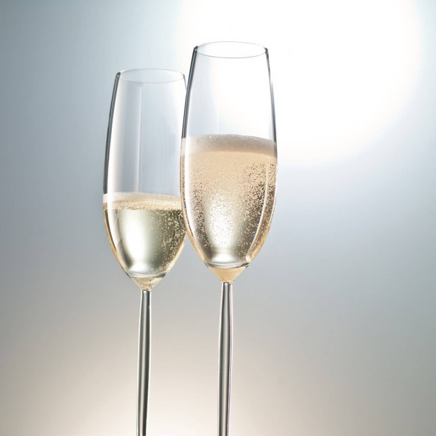 middag Automatisering gelijkheid Schott Zwiesel Champagneglazen Diva 220 ml - 6 Stuks | Blokker