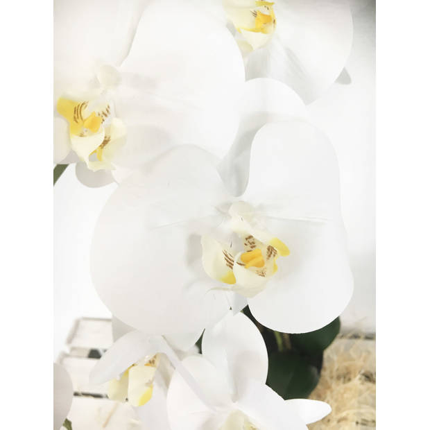 Grote Levensechte Kunst Orchidee / Phlaenopsis plant 100 cm met pot - Witte kunst orchidee - Kunstplanten