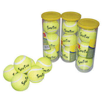 Tennisballen in koker - 3 stuks