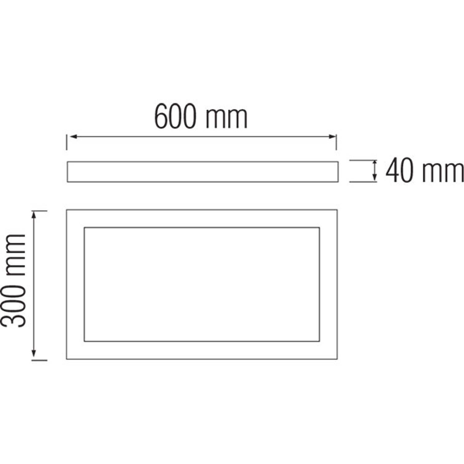 Ster Misbruik hanger LED Paneel - 30x60 Warm Wit 3000K - 24W Opbouw Rechthoek - Mat Wit -  Flikkervrij | Blokker