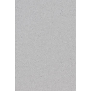 Amscan tafelkleed zilver 137 x 274 cm