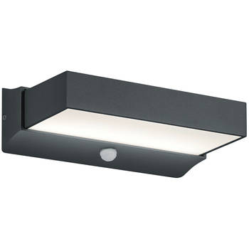 LED Tuinverlichting met Bewegingssensor - Wandlamp Buitenlamp - Trion Cuary Up and Down - 11W - Warm Wit 3000K -