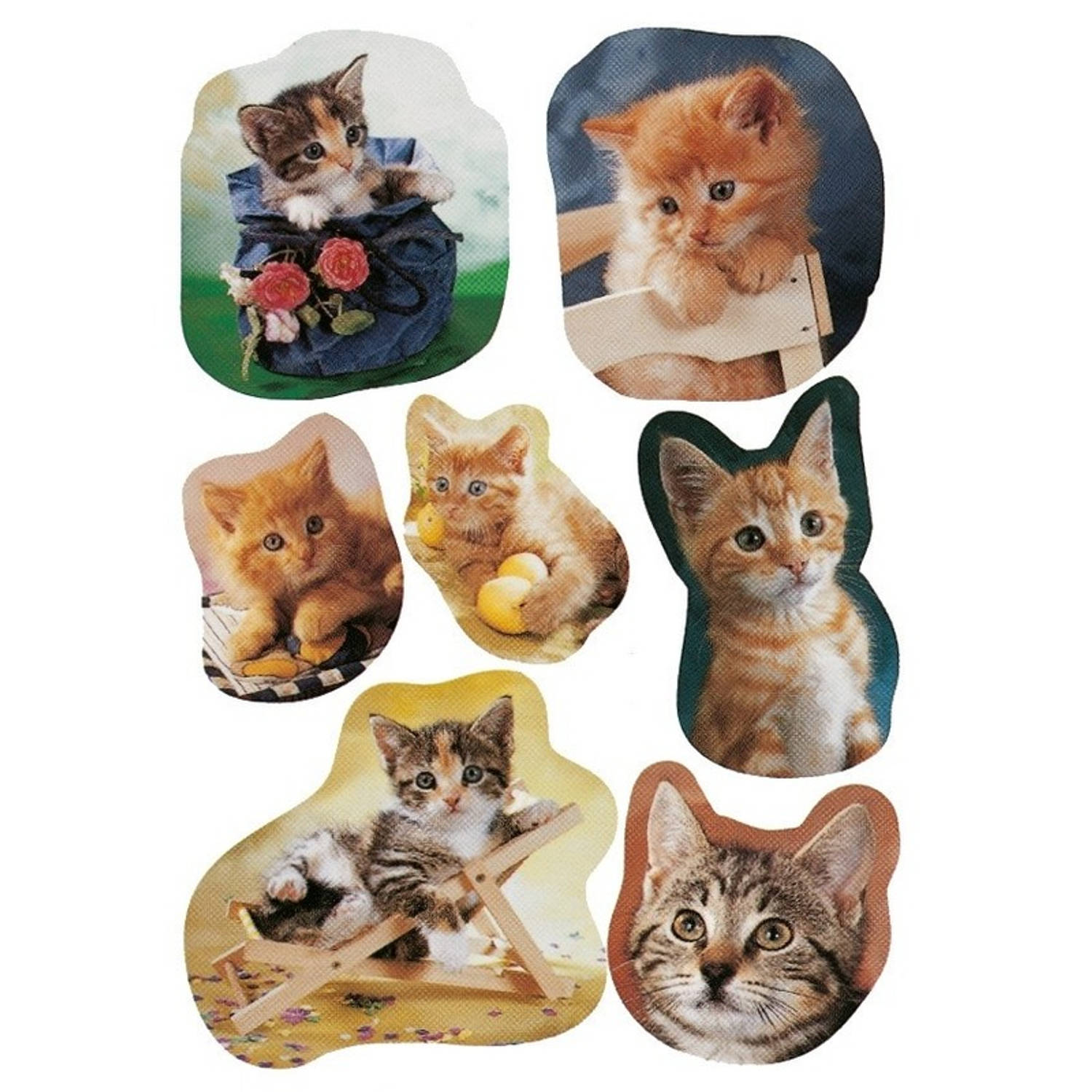 Stal heroïne Rusland 21x Katten/poezen dieren stickers - kinderstickers - stickervellen -  knutselspullen | Blokker