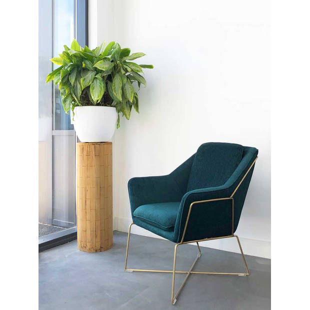 Design fauteuil Selena - Smaragd groen / gouden frame