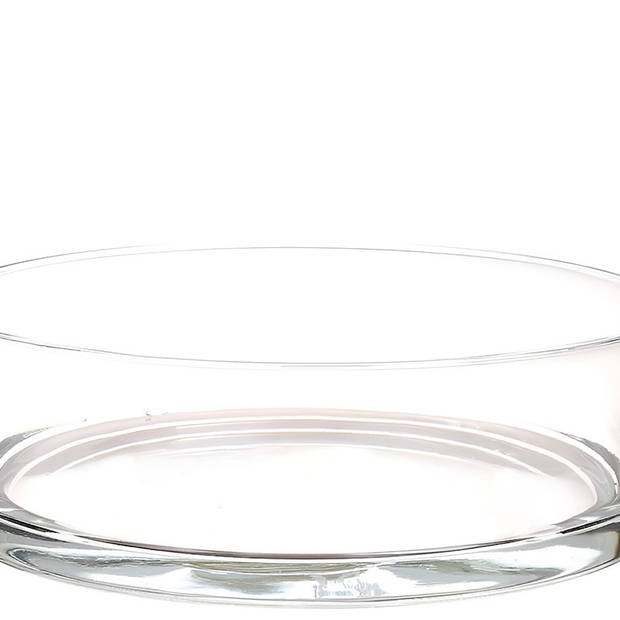 Lage glazen schaal transparant glas cilindervormig 8 x 29 cm - Vazen