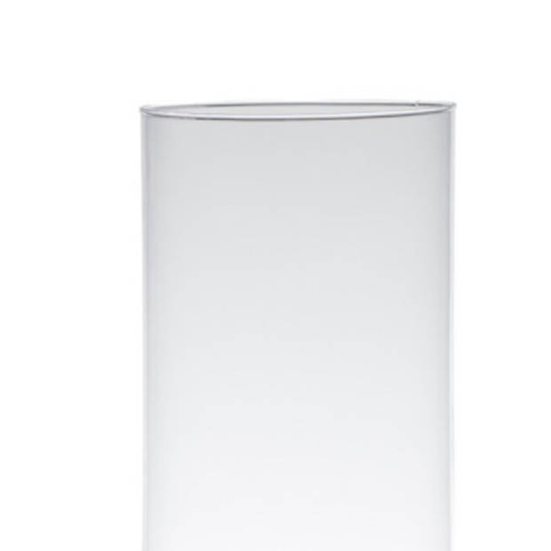 Glazen bloemen cilinder vaas/vazen 25 x 12 cm transparant - Vazen