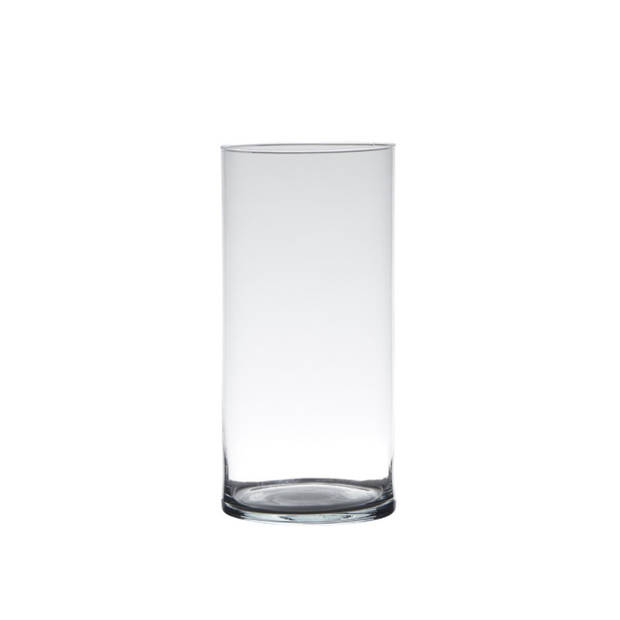 Glazen bloemen cilinder vaas/vazen 25 x 12 cm transparant - Vazen