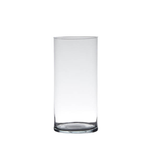 Set van 2x stuks glazen bloemen cylinder vaas/vazen 30 x 12 cm transparant - Vazen