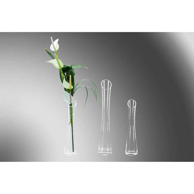 Glazen flutes rode roos/rozen smalle vaas 25 x 6 cm - Vazen
