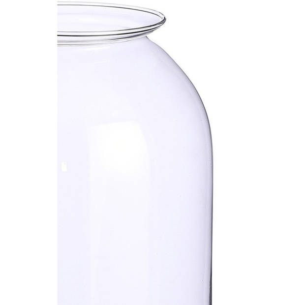 Ronde bloemenvaas/bloemenvazen 19 x 30 cm transparant glas - Vazen