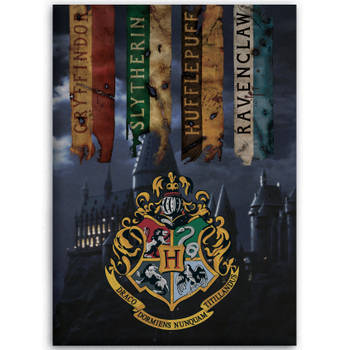 Harry Potter Fleece deken Zweinstein - 100 x 140 cm - Multi