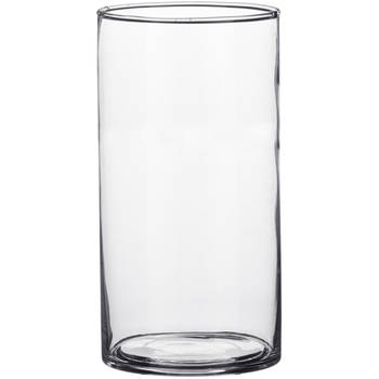 Cilinder bloemenvaas/bloemenvazen 9 x 15 cm transparant glas - Vazen