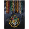 Harry Potter Fleece deken Zweinstein - 100 x 140 cm - Multi