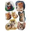 21x Katten/poezen dieren stickers - kinderstickers - stickervellen - knutselspullen