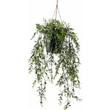 Emerald kunstplant/hangplant - Buxus - groen - 50 cm lang - Kunstplanten
