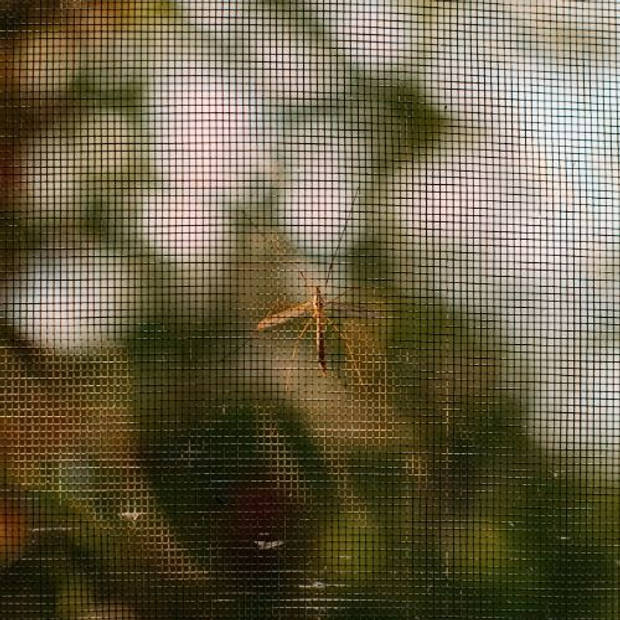 Raamhor - Zwart - 130x150cm - Gaas - Anti-insecten - Raamhor - Deurhor - Met plakstrip
