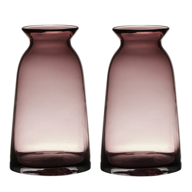 Set van 2x stuks paars/roze glazen bloemen vaas/vazen 23.5 x 12.5 cm transparant - Vazen