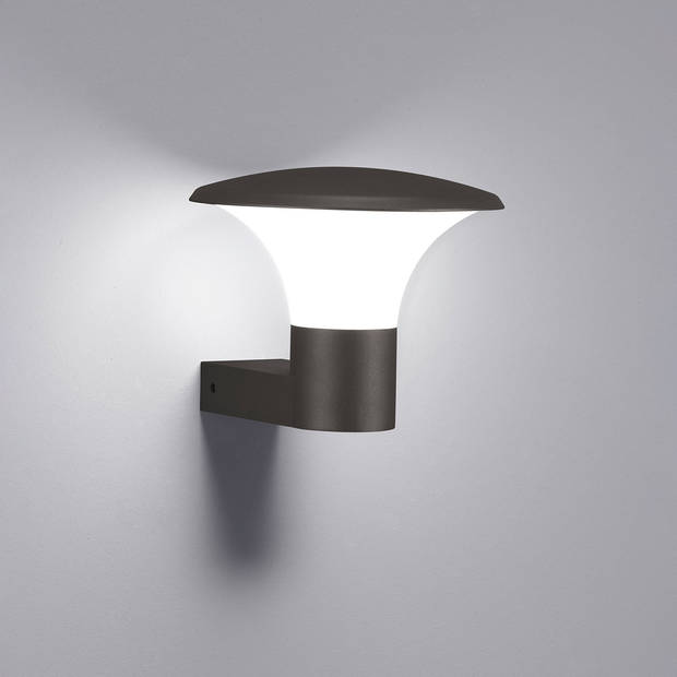 LED Tuinverlichting - Wandlamp Buitenlamp - Trion Karminy - 5W - E27 Fitting - Spatwaterdicht IP44 - Mat Antraciet -