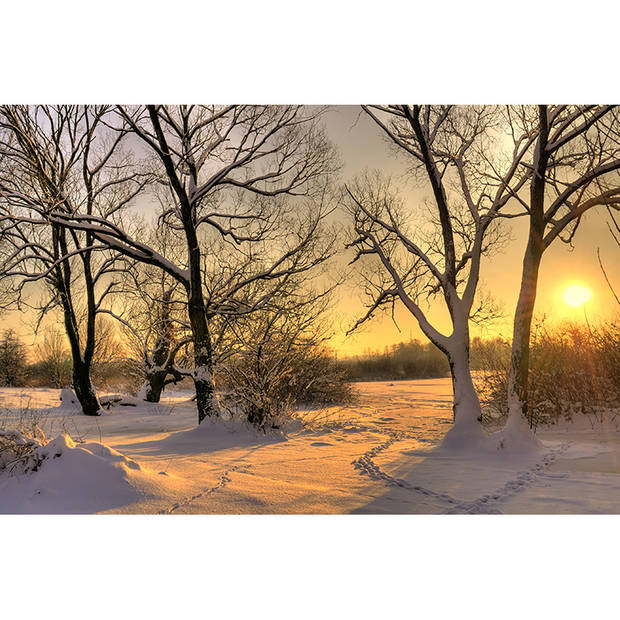 Canvas Schilderij Winterse Zonsondergang - B80x L60 cm