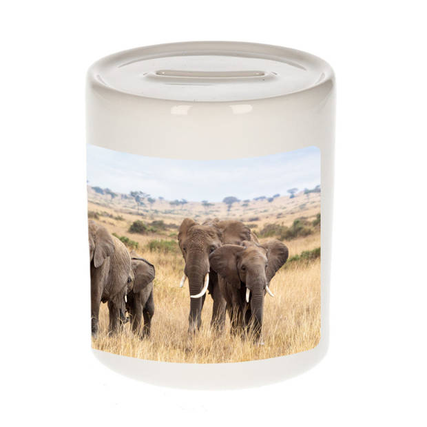 Foto olifant spaarpot 9 cm - Cadeau olifanten kudde liefhebber - Spaarpotten