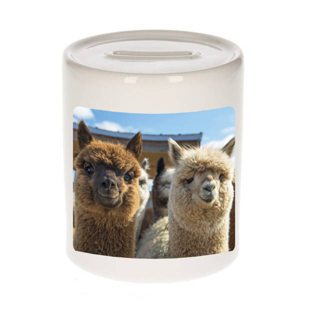 Foto alpaca spaarpot 9 cm - Cadeau alpacas liefhebber - Spaarpotten