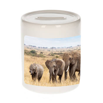 Foto olifant spaarpot 9 cm - Cadeau olifanten kudde liefhebber - Spaarpotten