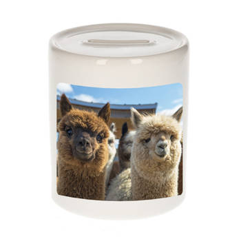 Foto alpaca spaarpot 9 cm - Cadeau alpacas liefhebber - Spaarpotten