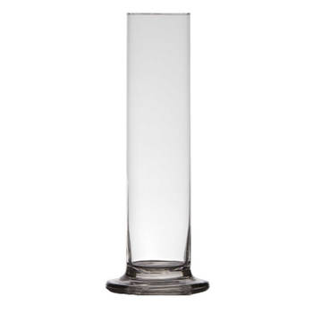 Luxe stijlvolle 1 bloem vaas/vazen 30 x 6 cm transparant glas - Vazen