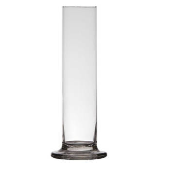 Luxe stijlvolle 1 bloem vaas/vazen 25 x 6 cm transparant glas - Vazen