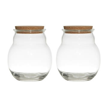 Set van 2x stuks glazen voorraadpotten/snoeppotten/terrarium vazen van 17 x 20 cm met kurk dop - Voorraadpot