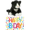 Cadeau setje pluche zwart/witte kat/poes knuffel 18 cm met Happy Birthday wenskaart - Knuffel huisdieren