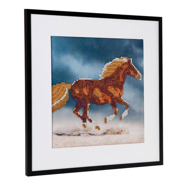 Diamond Painting paard 30x30cm