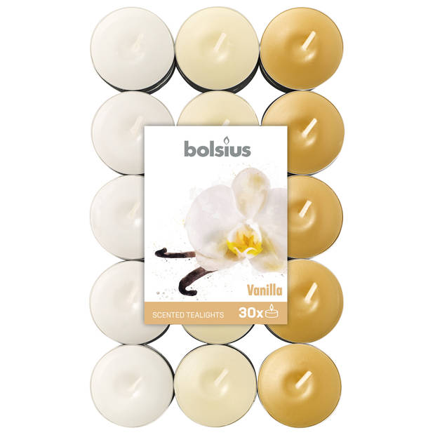 Bolsius geurkaarsen theelicht Vanilla bruin/wit 30 stuks