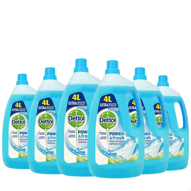 Dettol Allesreiniger Katoenfris - 4L x6