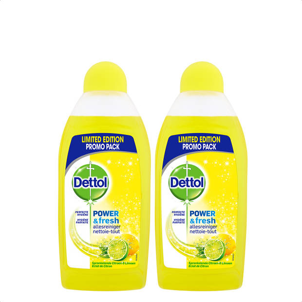 Dettol Allesreiniger Power & Fresh - Citrus - 500ml x2