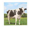 20x Boerderij thema servetten met koeien print 33 x 33 cm - Feestservetten
