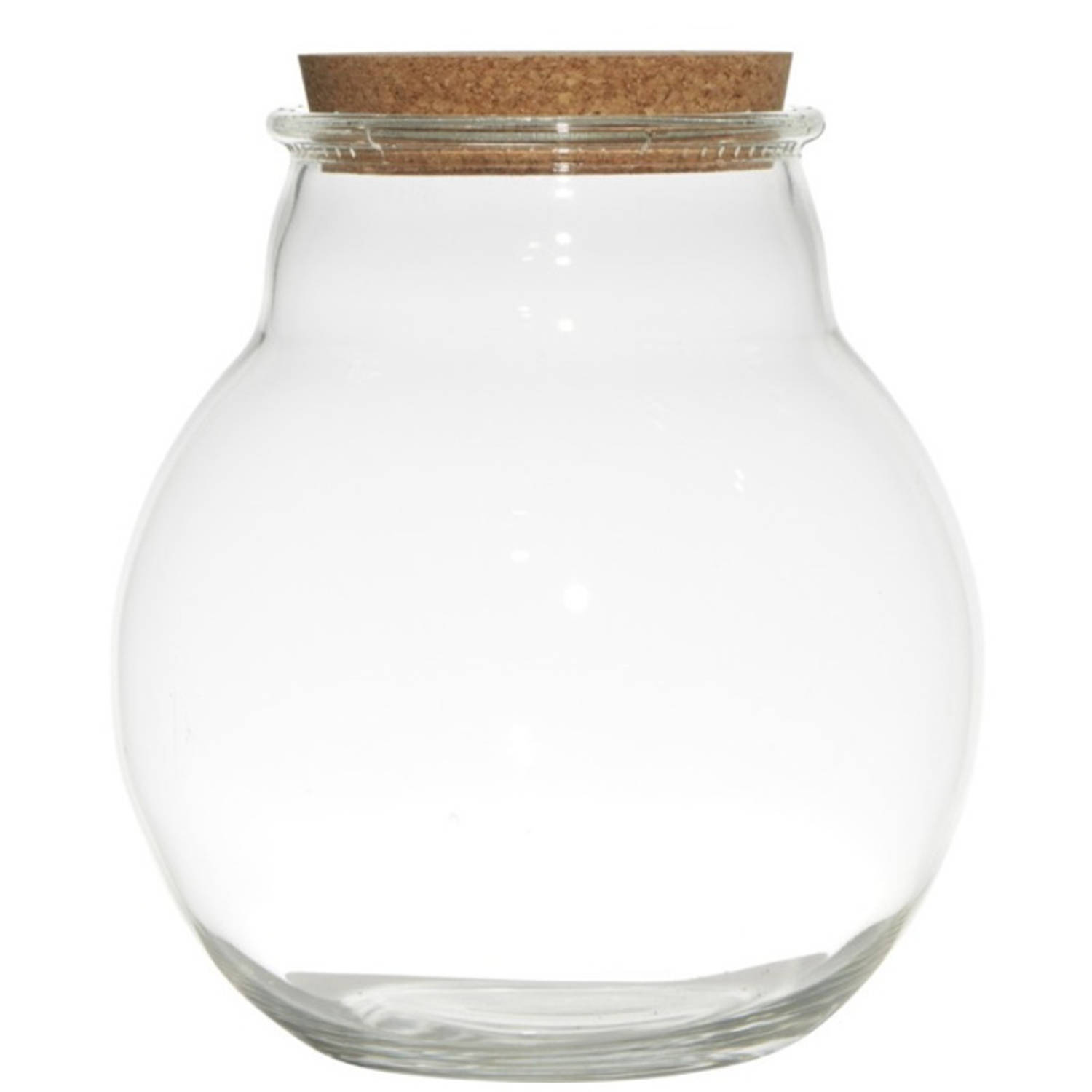Glazen vaas van 19 x 21.5 cm met kurk dop - Voorraadpot | Blokker
