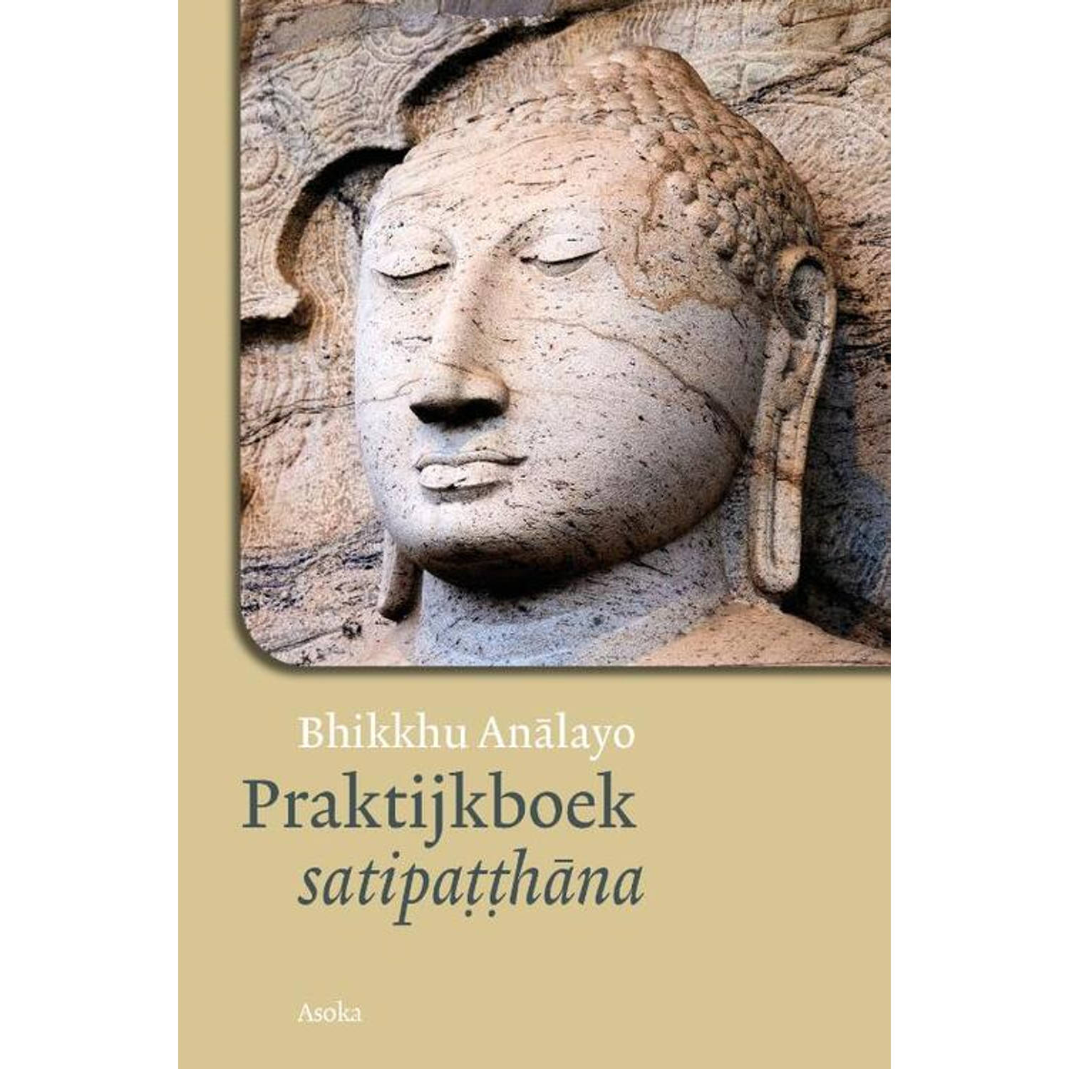 Praktijkboek Satipatthana