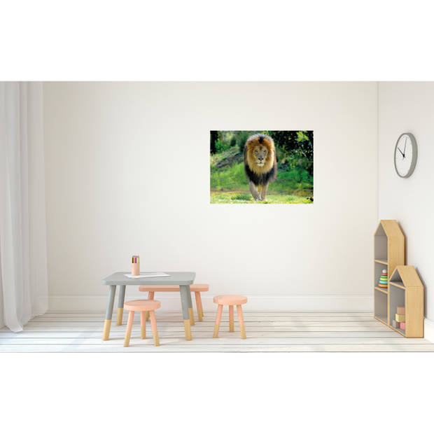 Dieren kinderkamer poster A1 leeuw jungle thema 84 x 59 cm - Posters