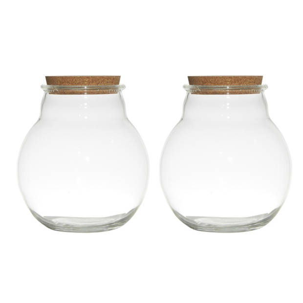 Set van 2x stuks glazen voorraadpotten/snoeppotten/terrarium vazen van 19 x 21.5 cm met kurk dop - Voorraadpot