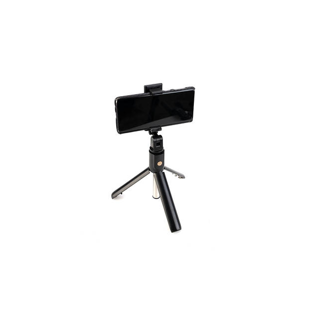 Soundlogic Selfie stick tripod