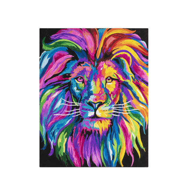 Paint by number 40x50cm - lion