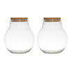 Set van 2x stuks glazen voorraadpotten/snoeppotten/terrarium vazen van 19 x 21.5 cm met kurk dop - Voorraadpot