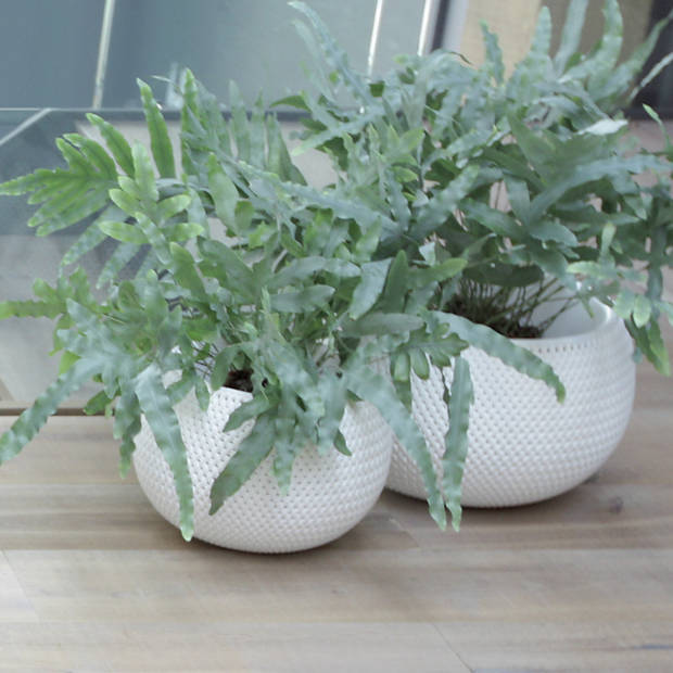 1x Stuks ronde witte kunststof Splofy bloempotten/plantenpotten 1,4 liter - Plantenpotten
