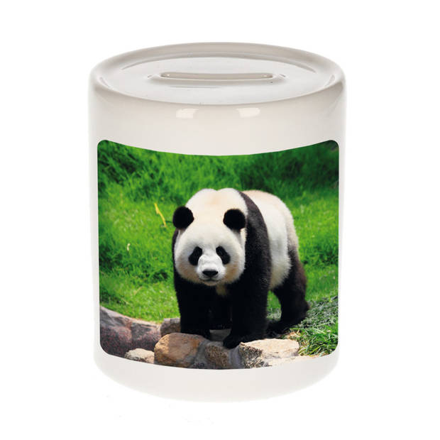 Foto grote panda spaarpot 9 cm - Cadeau pandaberen liefhebber - Spaarpotten