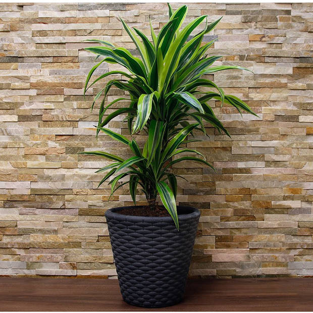 Kunststof Rato rotan bloempot/plantenpot antraciet 40 cm - Plantenpotten