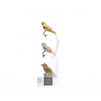 Decoris Vogels glas gouden 8x3.5cm set a 3