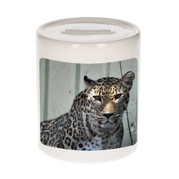 Foto gevlekte jaguar spaarpot 9 cm - Cadeau jaguars liefhebber - Spaarpotten