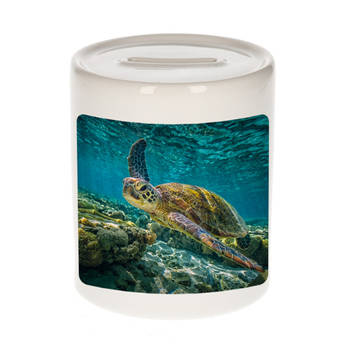 Foto zee schildpad spaarpot 9 cm - Cadeau schildpadden liefhebber - Spaarpotten