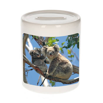 Foto koala beer spaarpot 9 cm - Cadeau koalaberen liefhebber - Spaarpotten